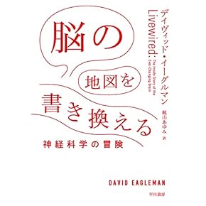 脳・神経科学の研究ガイド 脳科学・神経科学入門ガイド｜Daichi Konno / 紺野 大地